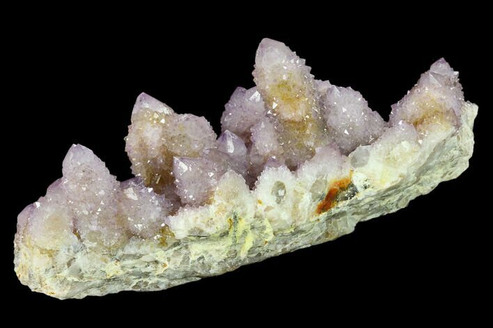 Cactus Quartz (Amethyst) Crystal Cluster - South Africa #132529